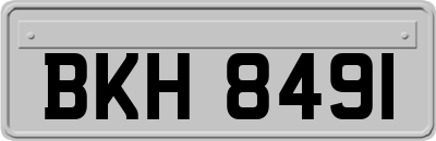 BKH8491