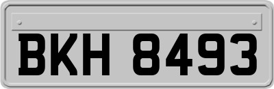 BKH8493