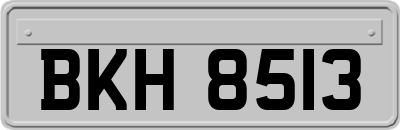 BKH8513