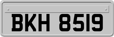 BKH8519
