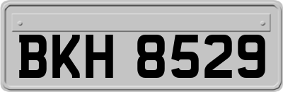 BKH8529
