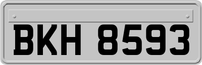 BKH8593