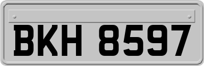 BKH8597
