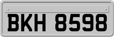 BKH8598