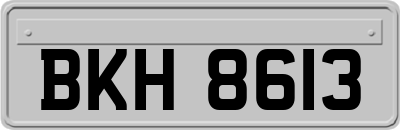 BKH8613