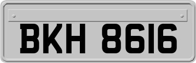 BKH8616