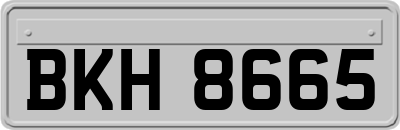 BKH8665