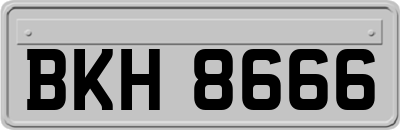 BKH8666