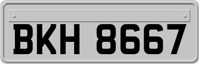 BKH8667