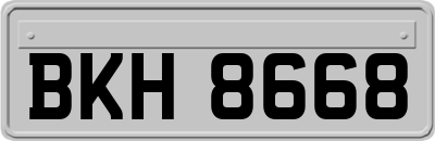 BKH8668