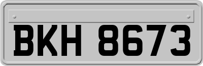 BKH8673