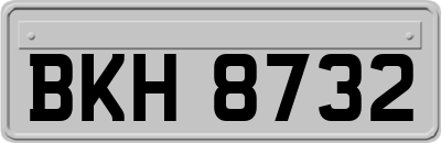 BKH8732