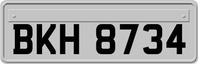 BKH8734