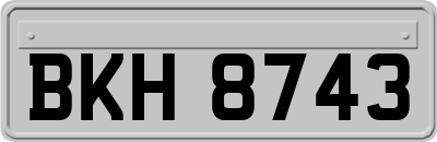 BKH8743