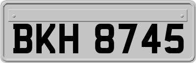 BKH8745