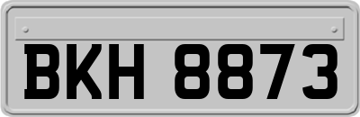 BKH8873