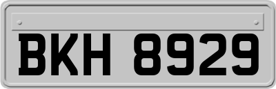 BKH8929