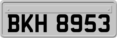 BKH8953