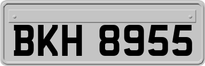 BKH8955