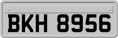 BKH8956