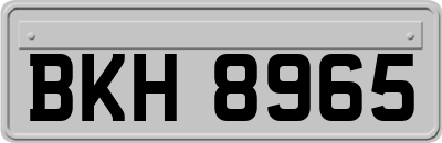 BKH8965