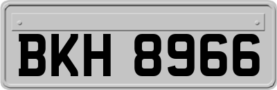 BKH8966