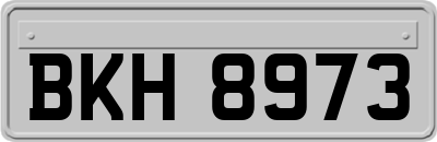 BKH8973
