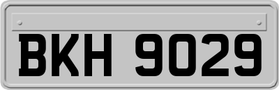 BKH9029