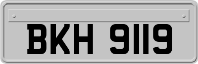 BKH9119