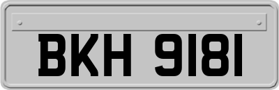 BKH9181