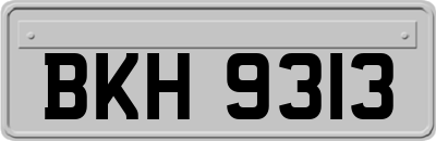 BKH9313
