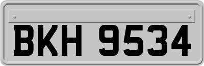 BKH9534