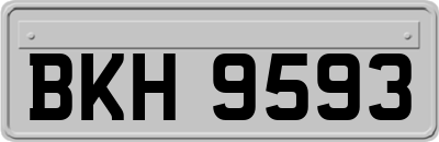 BKH9593