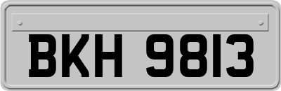 BKH9813