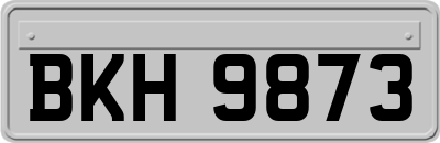 BKH9873