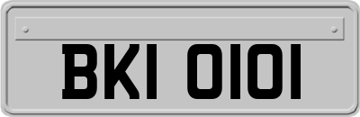 BKI0101
