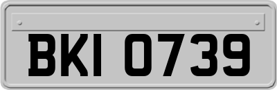 BKI0739