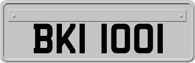 BKI1001