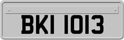 BKI1013