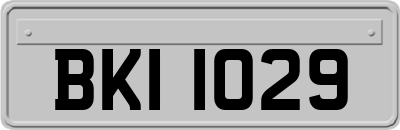 BKI1029