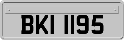 BKI1195