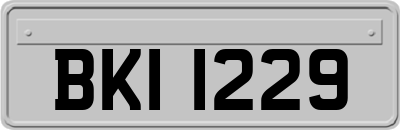 BKI1229