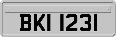 BKI1231