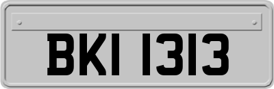 BKI1313