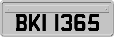 BKI1365