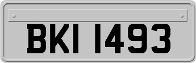 BKI1493