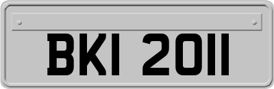 BKI2011
