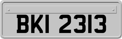BKI2313
