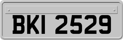 BKI2529
