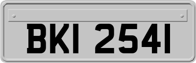 BKI2541